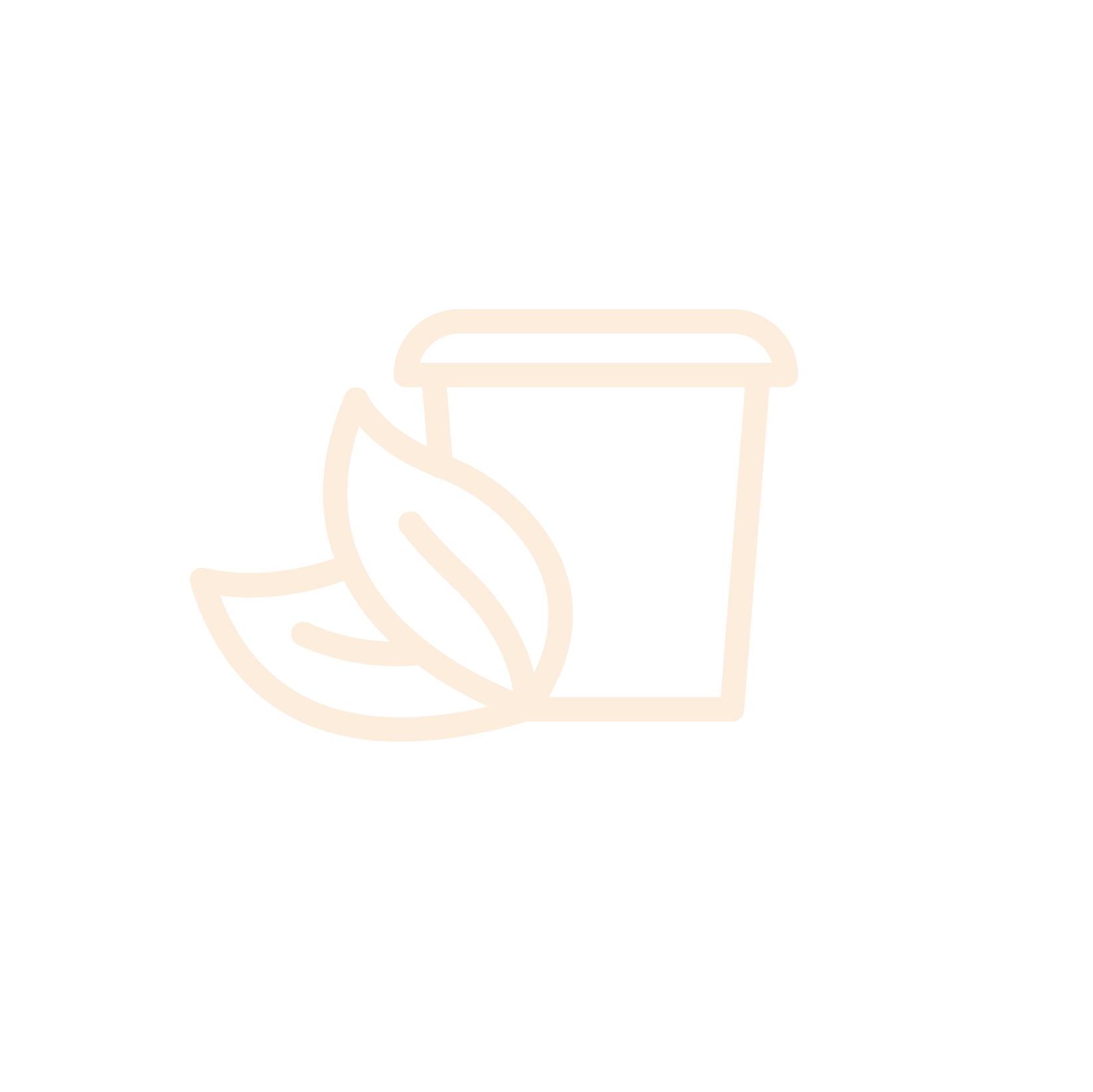 Display Image
