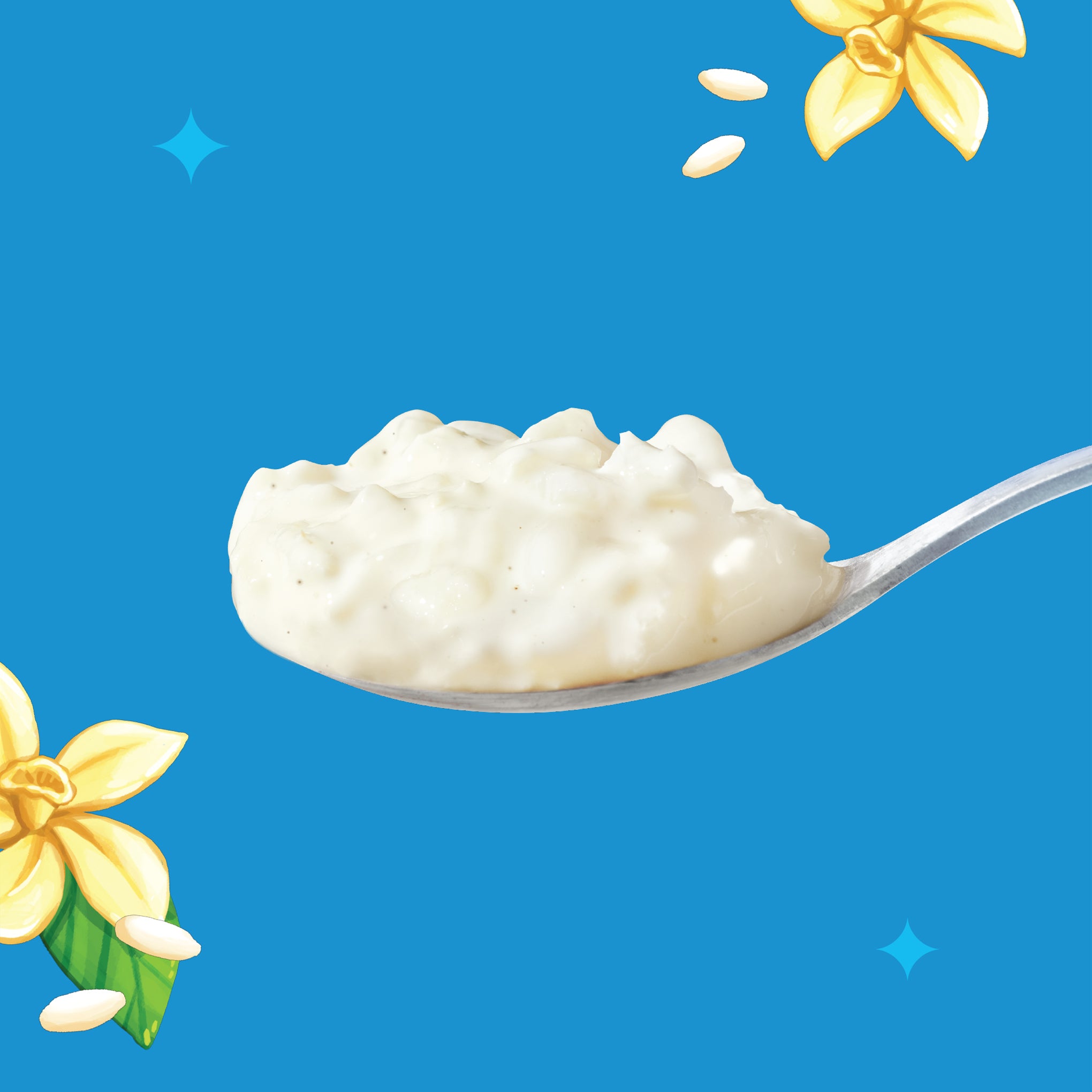 Rice Pudding - Rice Pudding Tub