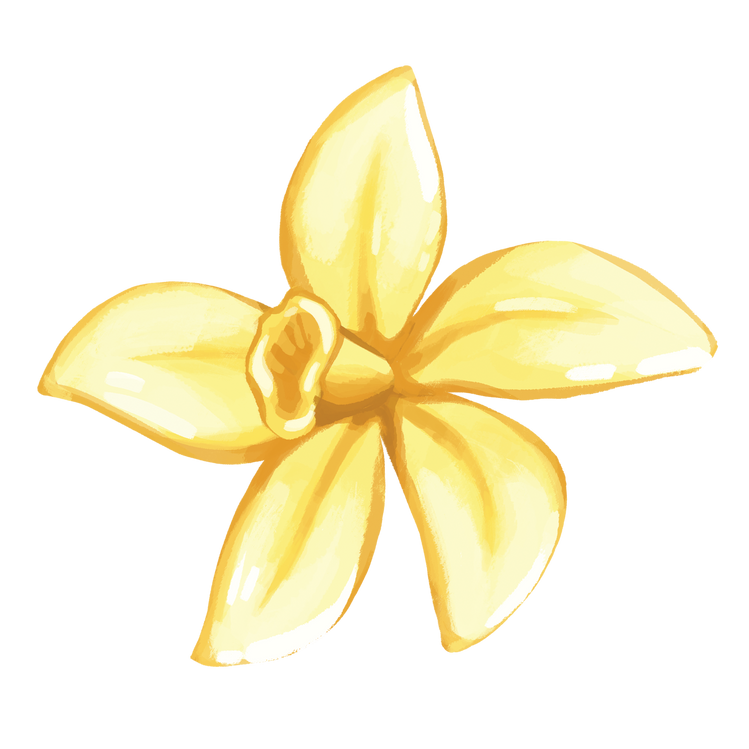 Rice Pudding Vanilla Rice Pudding