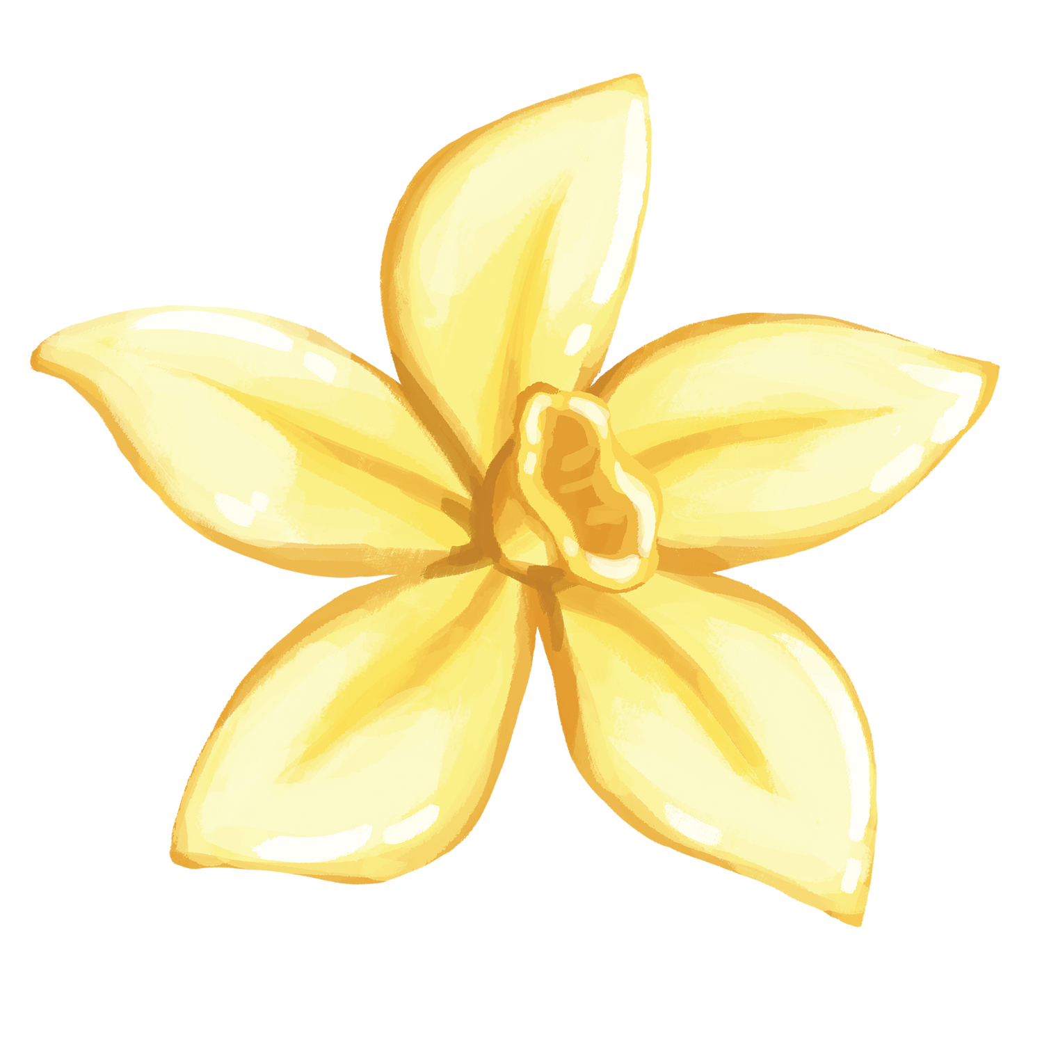 Rice Pudding Vanilla Rice Pudding